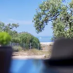 Terra Di Olive *