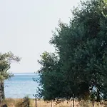 Terra Di Olive Apartment