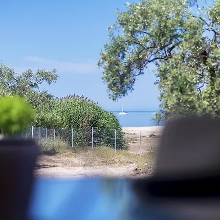 Terra Di Olive *