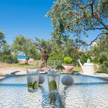 Terra Di Olive *