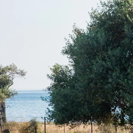 Terra Di Olive Apartment