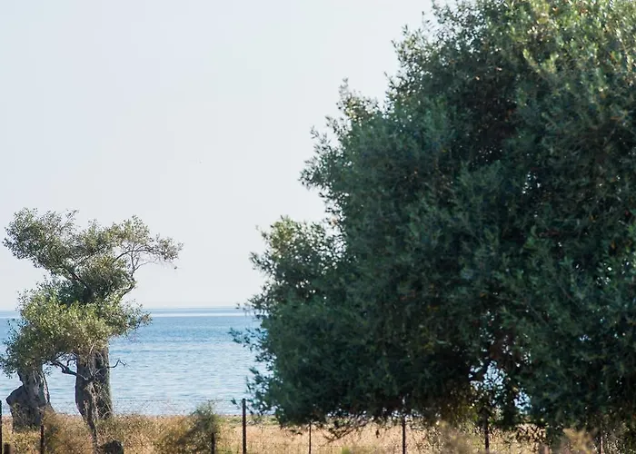 Terra Di Olive Apartamento